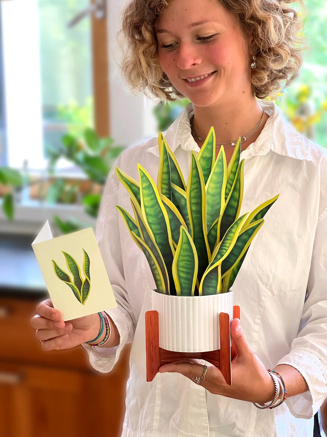 Snake Plant Pop Open Bouquet Greeting Card