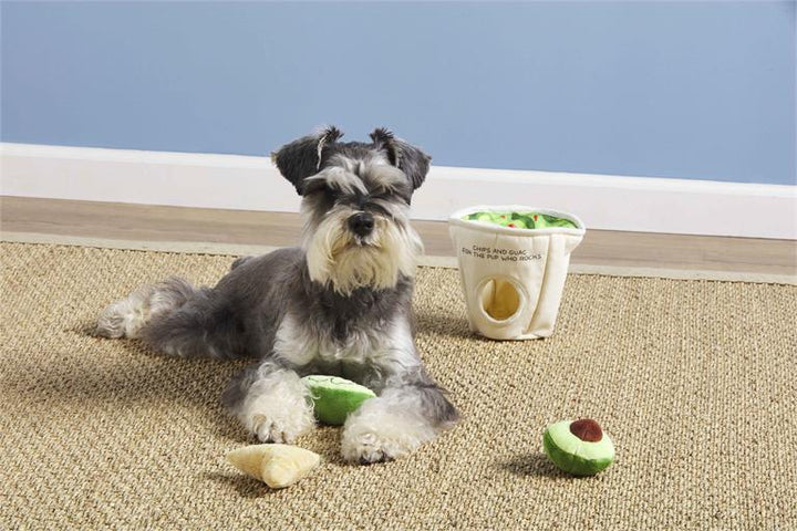 Guac Dog Toy Set by Mud Pie